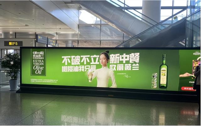 品牌形象代言人成功案例(红动说品牌---企业如何选择形象代言人)(5)