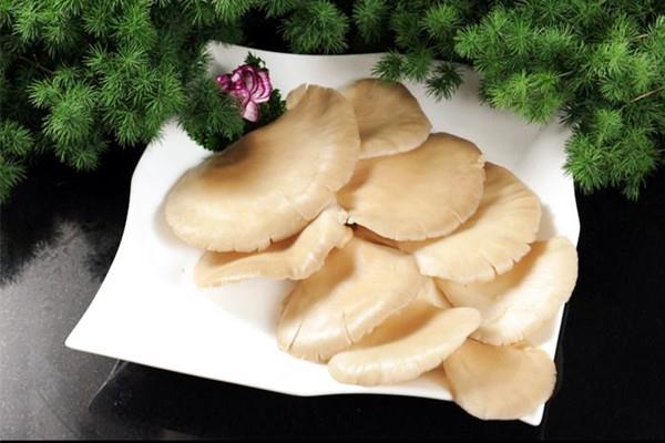 平菇发粘还能吃吗 平菇背面长疙瘩能吃吗 平菇发粘还能吃吗 平菇背面长疙瘩能吃吗