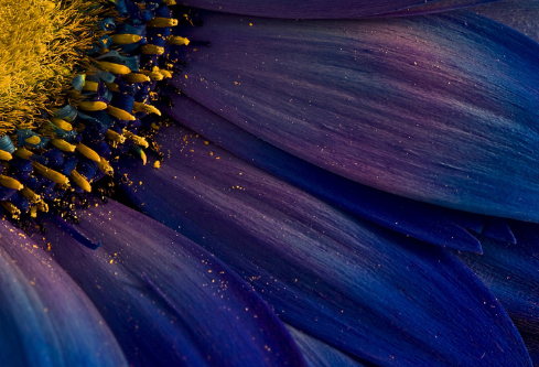 1692923155218859.png image.png