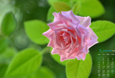 ​有创意的修理厂名字大全 个性修理厂名字