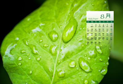 ​沉默不想说话的网名(精选76个)