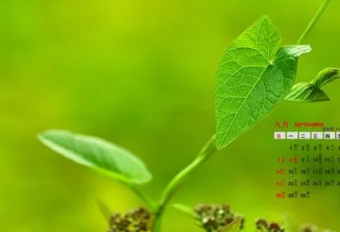 1692980783589578.png image.png