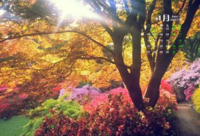 ​一个吸引人的面馆名字(精选69个)