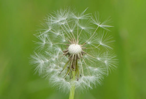 1692981612543061.png image.png