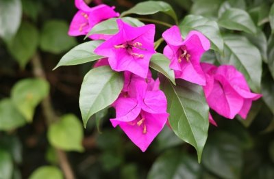 ​自带财气的网名抖音名字