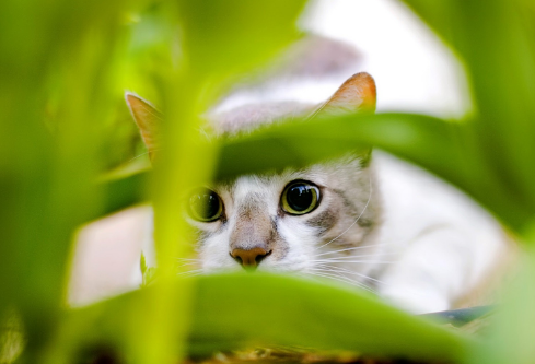 1691871322132645.png image.png