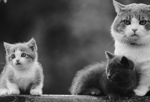 1691871986513369.png image.png