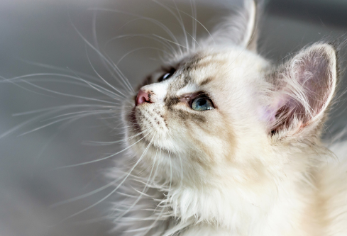 1691872153681107.png image.png