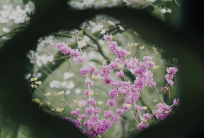 ​值得长期不换的网名可爱(精选820个)