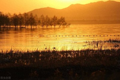 ​四本量大管饱的剑修类小说，不小白不注水，反复看三遍都不会腻