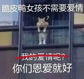 ​脆皮鸭小说推荐｜强势推文