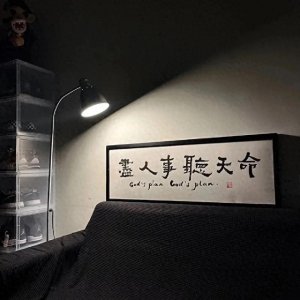 ​背景图Ⅱ“尽人事，听天命”