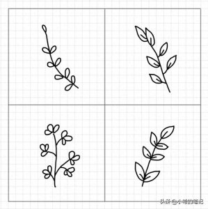 ​简笔画｜简单好看的枝条简笔画，让你的手帐更生动