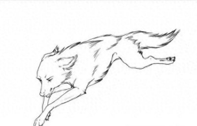 ​猎人放生母狼，住客店时母狼托梦说，快把枕头扔了